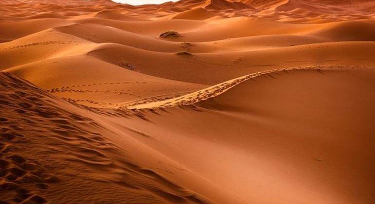 Visita gratuita ao deserto de Merzouga com habitantes locais