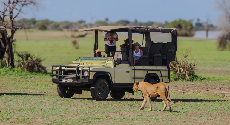 Safari Adventure from Dar Es Salaam to Selous