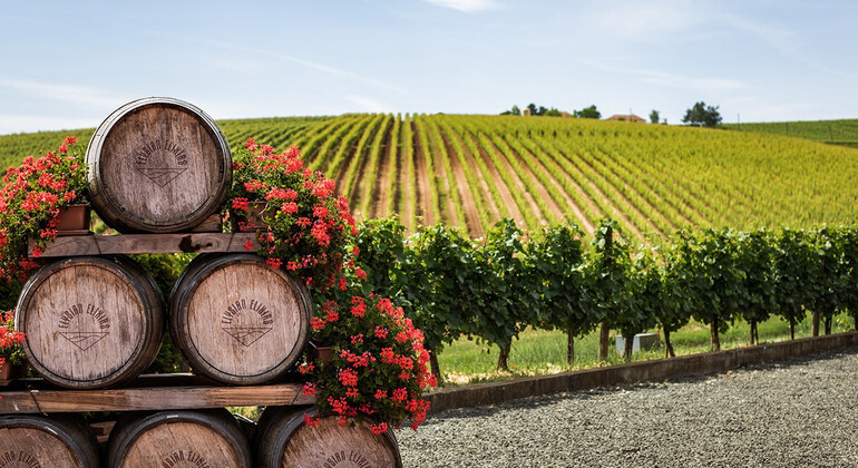 kakheti-wine-scenic-georgia-experience-es-2