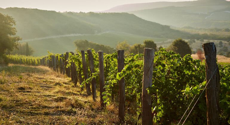 kakheti-wine-scenic-georgia-experience-en-13