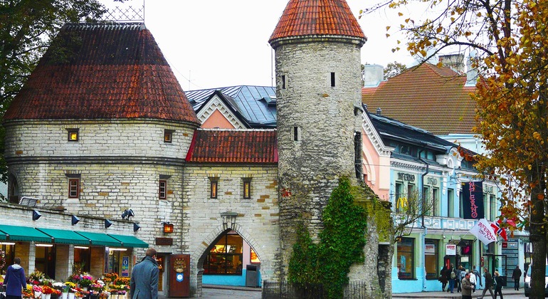 Tallinn à travers les siècles : une visite historique Fournie par Mari