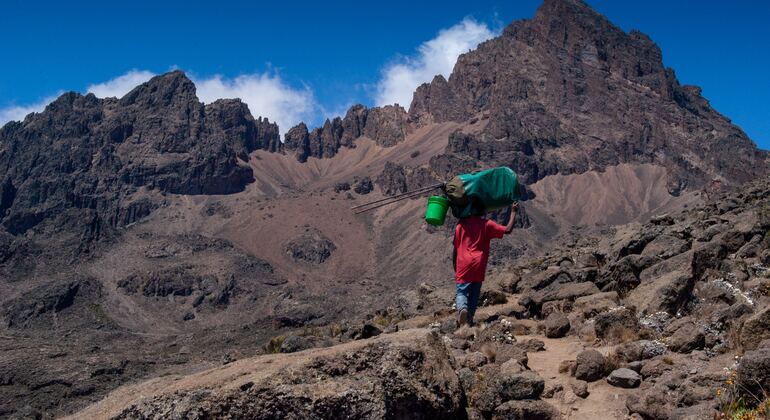 Excursión de un día a la Ruta Marangu en el Kilimanjaro