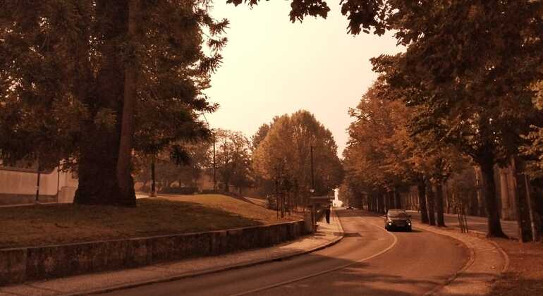 descubre-coimbra-un-viaje-a-traves-del-tiempo-en-2