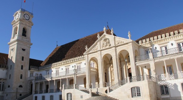 Coimbra Free Tour: Downtown and University