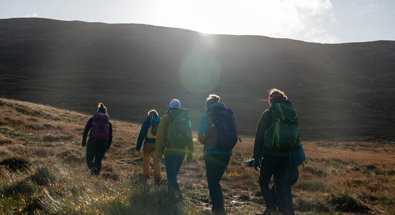 Conquer Arthur's Seat: Free Hike Provided by Mountain Marcus 