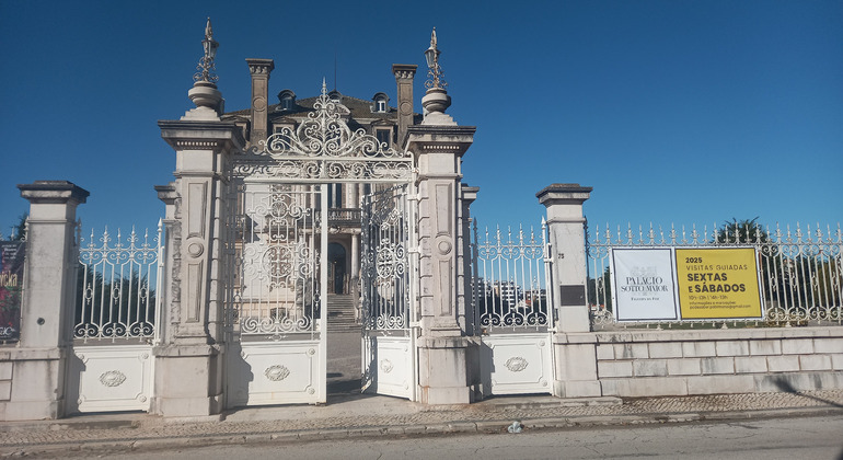 free-walking-tour-of-figueira-da-foz-es-4