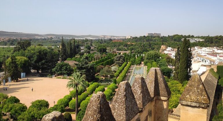 Visita all'Alcazar dei monarchi cristiani