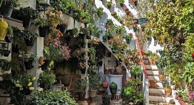 Guided Visit to the Patios of Cordoba Spain — #1