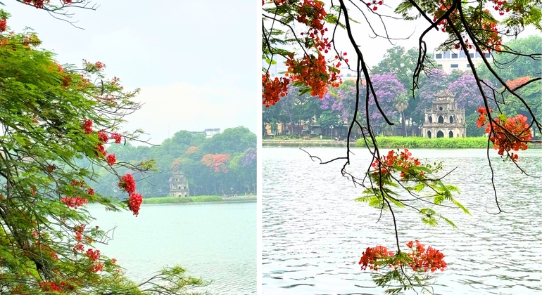 Free Half-Day Tour of Hanoi and Train Street Provided by Free Local Tour Guide in Hanoi