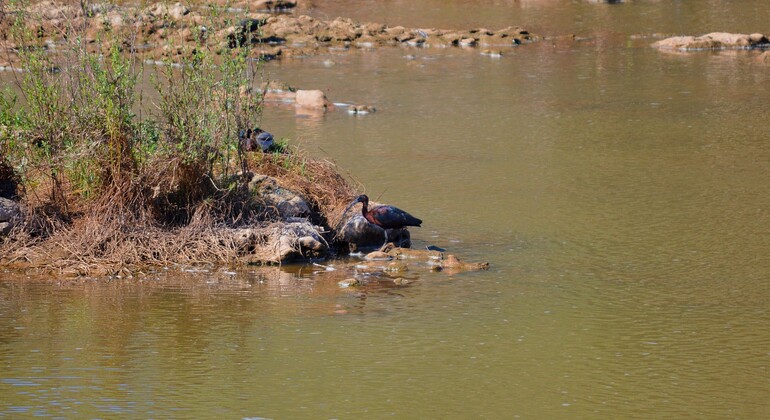 Living Nature of the Guadiana, Spain