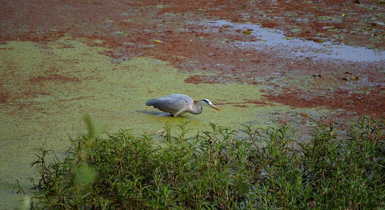 naturaleza-viva-del-guadiana-es-1