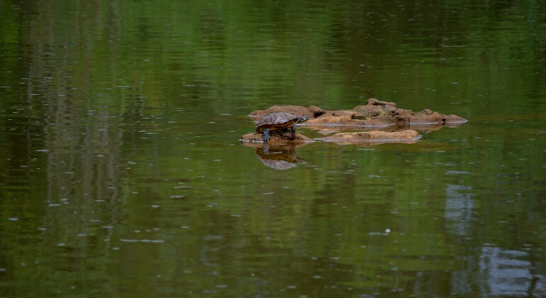 naturaleza-viva-del-guadiana-es-2