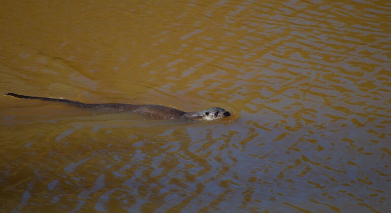 naturaleza-viva-del-guadiana-es-3