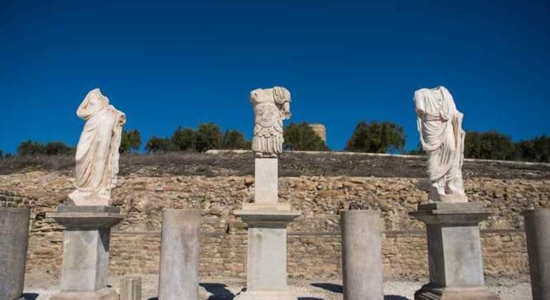 Free Tour por el Yacimiento Arqueológico de Torreparedones en Baena