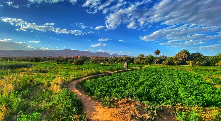 Tour a piedi gratuito di Tinghir Marocco — #1