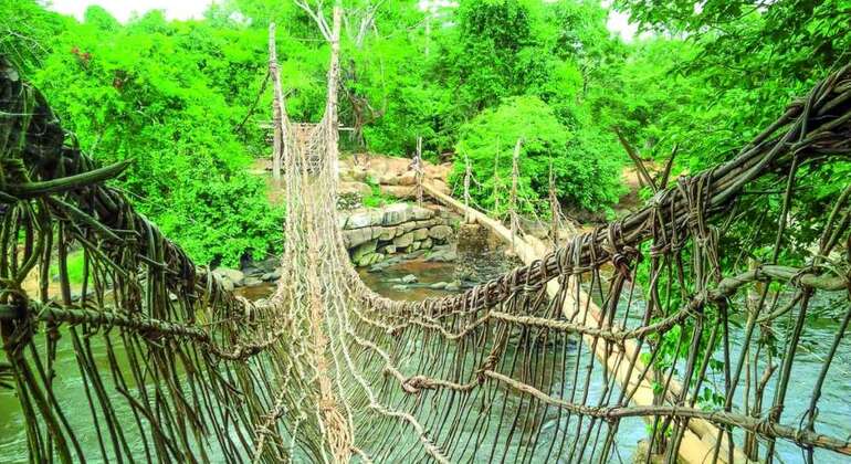 Descubra las Maravillas de Abiyán, Cote d'Ivoire