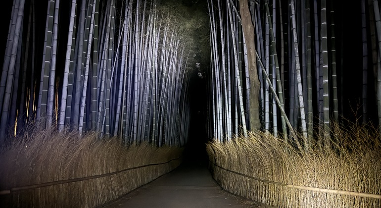 Tour dei fantasmi - Misteri e foresta di bambù di notte Giappone — #1