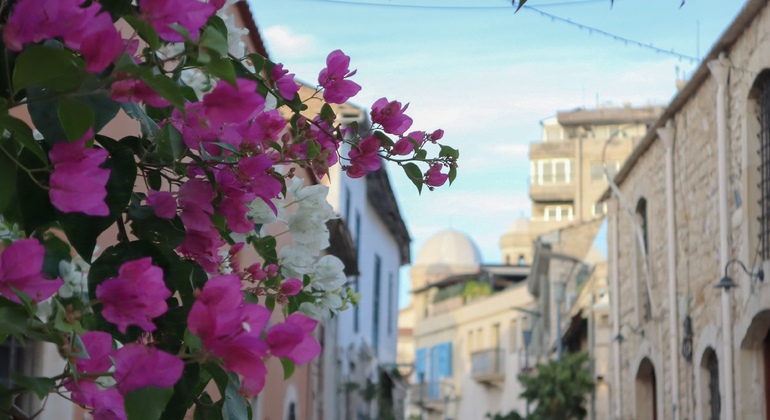 Descobrir a história de Chipre e Limassol com um local