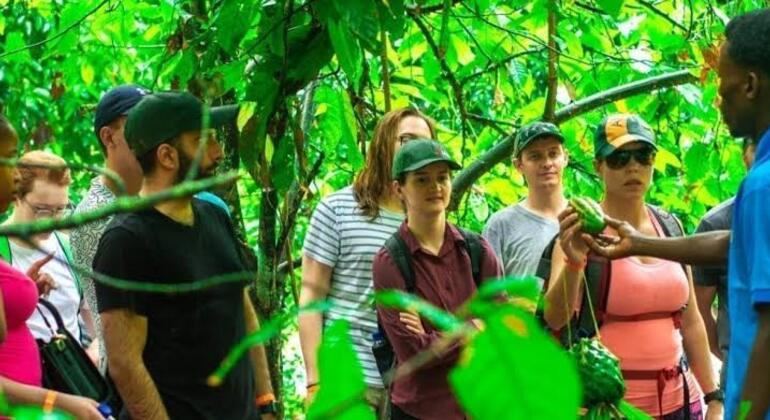 Descubra o passeio a pé pela histórica Cidade de Pedra de Zanzibar