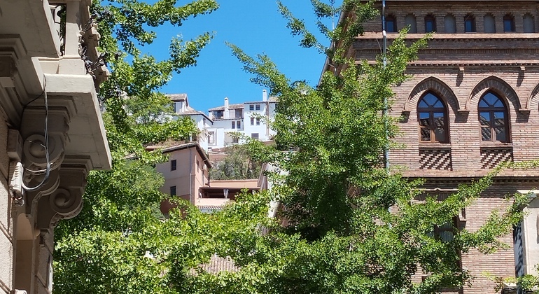 Descubre Granada: Historia, Centro, Catedral y Albaycín España — #1