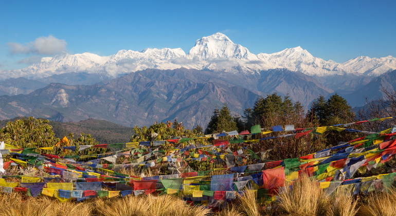 Trekking a Ghorepani Poon Hill en Pokhara