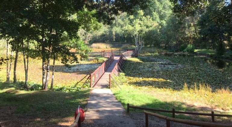 free-tour-por-los-parques-sitios-de-valdivia-en-1