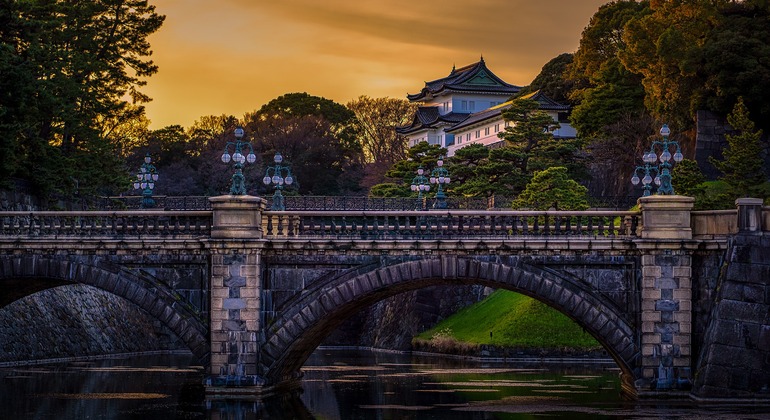 Tsukiji & Ginza - Culinary & Cultural Journey Tour