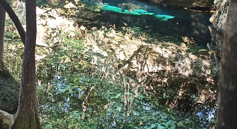 free-tour-of-cenotes-by-bike-es-8