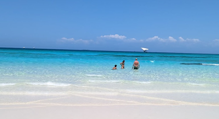 Schnorcheln und Schwimmen mit Delphinen