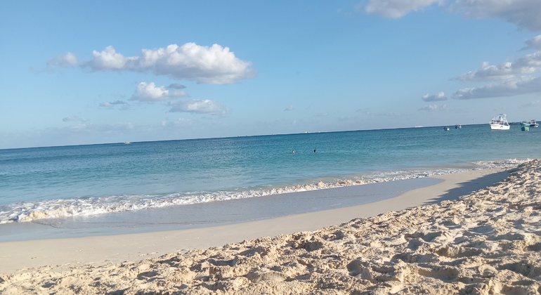 Free Tour of Playa del Carmen Virgin Beaches