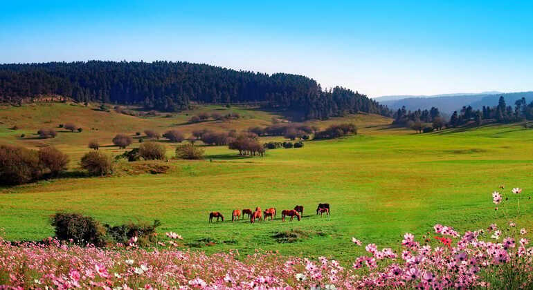 Aventura de caminhada Wulong em Chongqing