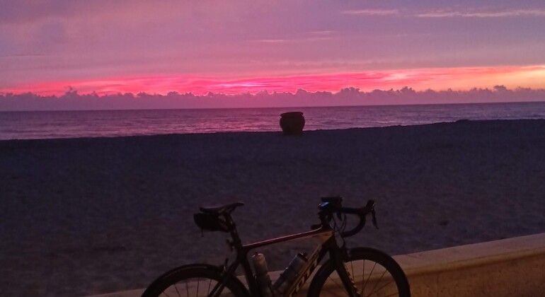 sunrise-bike-tour-of-hollywood-beach-city-highlights-es-5