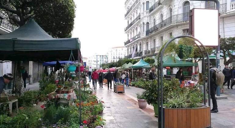 explore-the-wonders-of-algiers-en-2