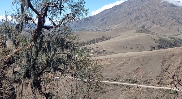 Visite libre de la vallée de Tafi Fournie par Gonzalo Oscar Brito