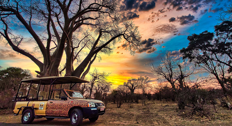 Safari Baobab en las Cataratas Victoria