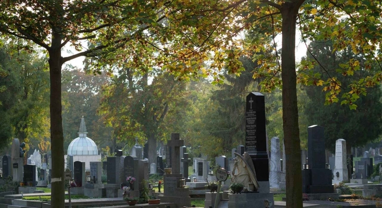 Le leggende del cimitero centrale di Vienna Tour a piedi gratuito Austria — #1