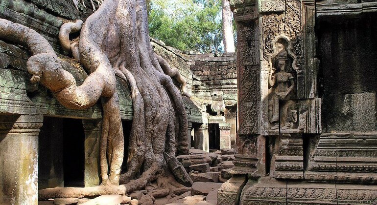 -days-siem-reap-tour-to-banteay-srei-and-kompong-pluk-en-8