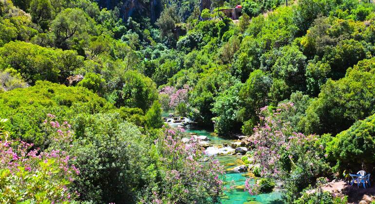 quad-adventure-from-chefchaouen-to-akchour-paradise-es-5