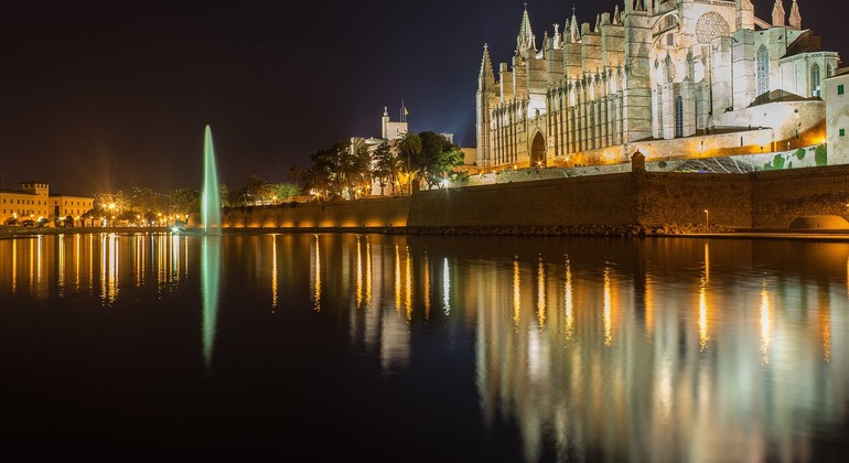 Explore the Old Town of Palma with Floris Provided by Floris Hendrickx