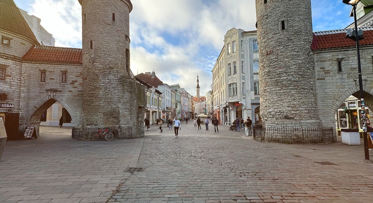 Explore Medieval Tallinn & Merchant House Architecture