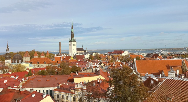 Explore Medieval Tallinn & Merchant House Architecture