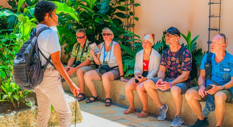 Descubre Museos y Fortalezas: Cartagena Free Tour Operado por Keyla Merino Perea