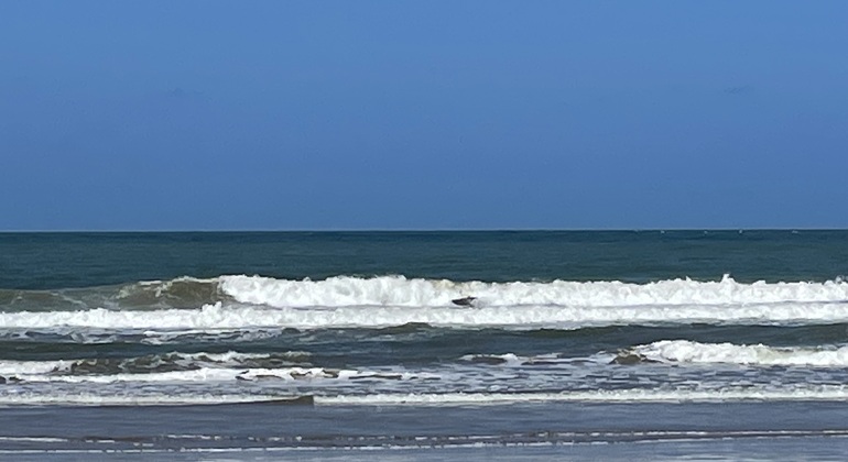 La Paloma: Uruguay Surf y Naturaleza