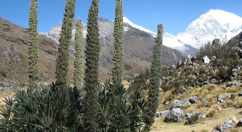 lake-sixty-nine-tour-in-the-huascaran-national-park-en-11