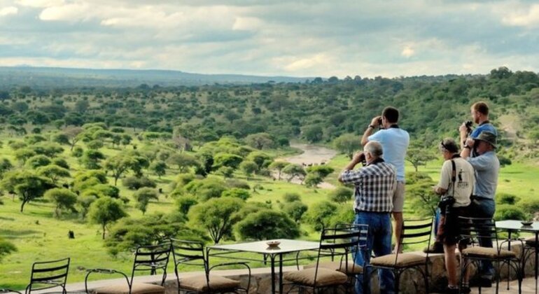 Avventura Safari nel Masai Mara Fornito da African-Breeze-Safaris