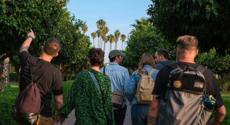 Tour a piedi della Medina di Marrakech Fornito da MUSTAPHA