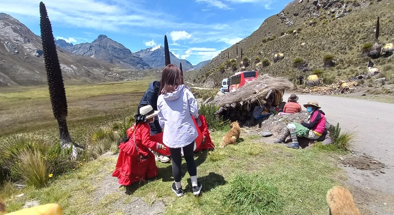 hike-to-the-stunning-pastoruri-glacier-en-16