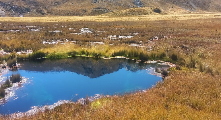 hike-to-the-stunning-pastoruri-glacier-en-23