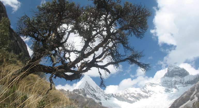 paron-lake-tour-in-the-heart-of-cordillera-blanca-es-11