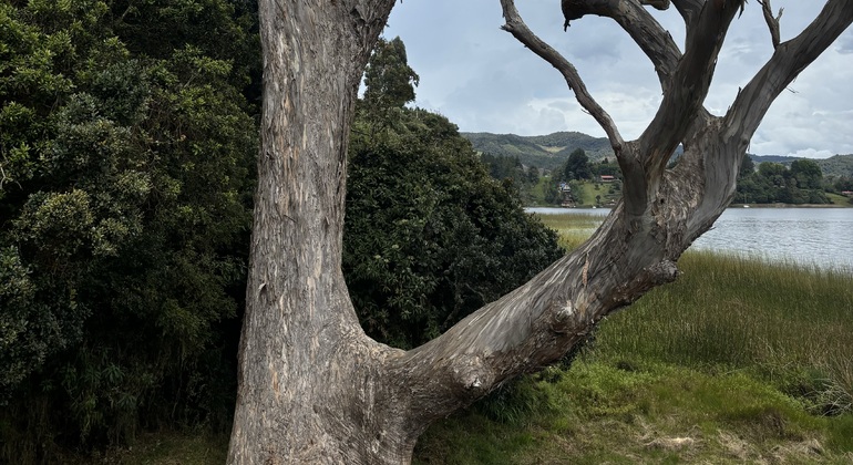 descubre-la-magia-de-la-laguna-de-la-cocha-es-11